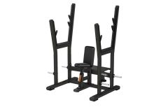 Олимпийская скамья для жима от плеч PRECOR Discovery Line DBR 507 серебристый Олимпийская скамья для жима от плеч PRECOR Discovery Line DBR 507 серебристый