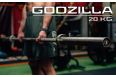 Гриф для штанги IDOL Action Godzilla Powerlifting Bar 20,45 kg L220 см D50мм фото 6