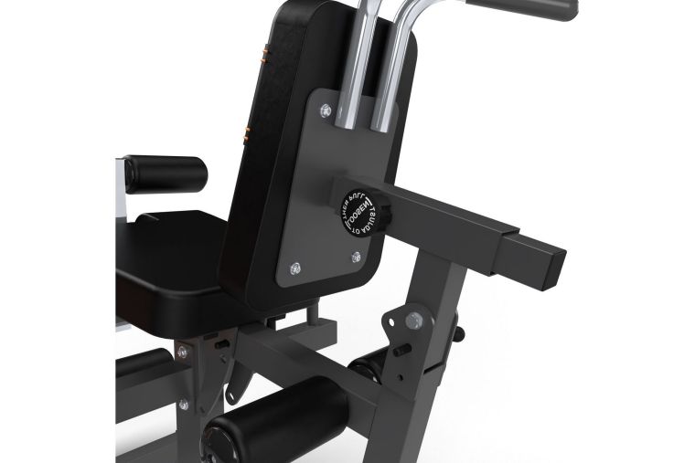 Силовой тренажер. Сгибание и разгибание ног Stonerise DJS3001 фото 2