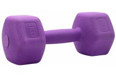 Гантели для фитнеса Sport Elite 1х3 кг H-103 фиолетовый