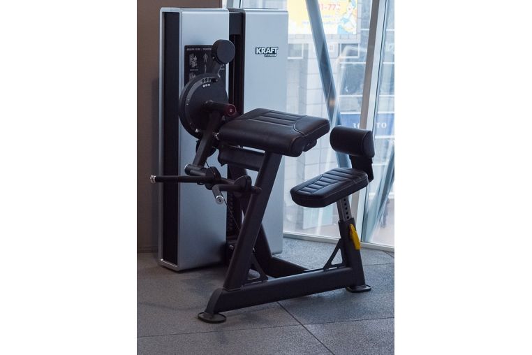 Бицепс/Трицепс сидя Kraft Fitness EXACT KFDXBT фото 1