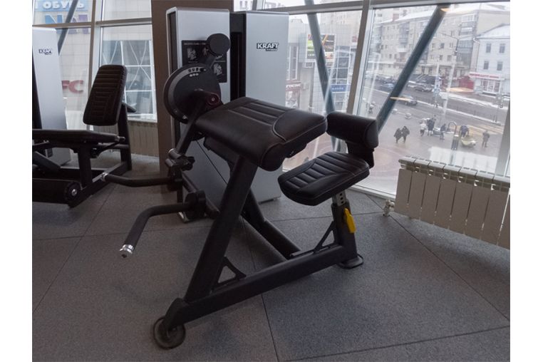 Бицепс/Трицепс сидя Kraft Fitness EXACT KFDXBT фото 2