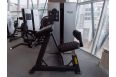 Бицепс/Трицепс сидя Kraft Fitness EXACT KFDXBT фото 3