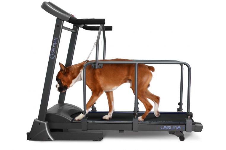 Беговая дорожка домашняя Oxygen Fitness Laguna II Dogie Edition фото 1