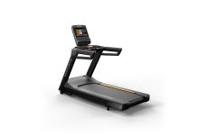 Беговая дорожка Endurance с консолью Touch Беговая дорожка Endurance с консолью Touch T-ES-F/TOUCH-C