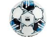Мяч футбольный Select Team Basic V23 0865560002 р.5, FIFA Basic фото 1