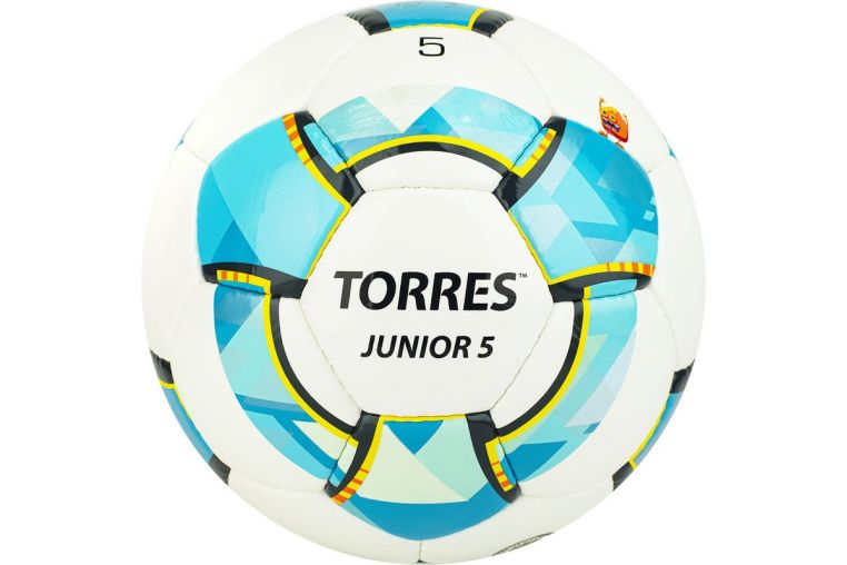 Мяч футбольный Torres Junior-5 F320225 р.5 