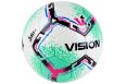 Мяч футзальный Vision SALA+, FIFA Quality Pro FS324084 р.4 фото 1
