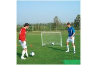 Ворота 1,1х1,5м, пластиковые Liski 32751/1