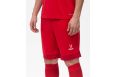 Шорты игровые Jogel DIVISION PerFormDRY Union Shorts, красный/темно-красный/белый фото 3