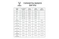 Футболка игровая Jogel Division PerFormDRY Union Jersey синий\темно-синий\белый фото 8