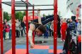 Мобильный комплекс для Воркаут Stecter Стандарт-7 5110 фото 3