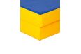 Мат гимнастический 1x1,5x0,1м (2 сложения) (2 секции) DSMat фото 1
