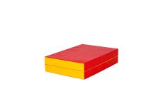 Мат гимнастический 1,2х0,8х0,1м складной (2 секции) DSMat