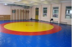 Ковер борцовский Atlet 12х12м основа ППЭ (экв. ПВВ 200 кг/м3) толщина 5 см IMP-A464