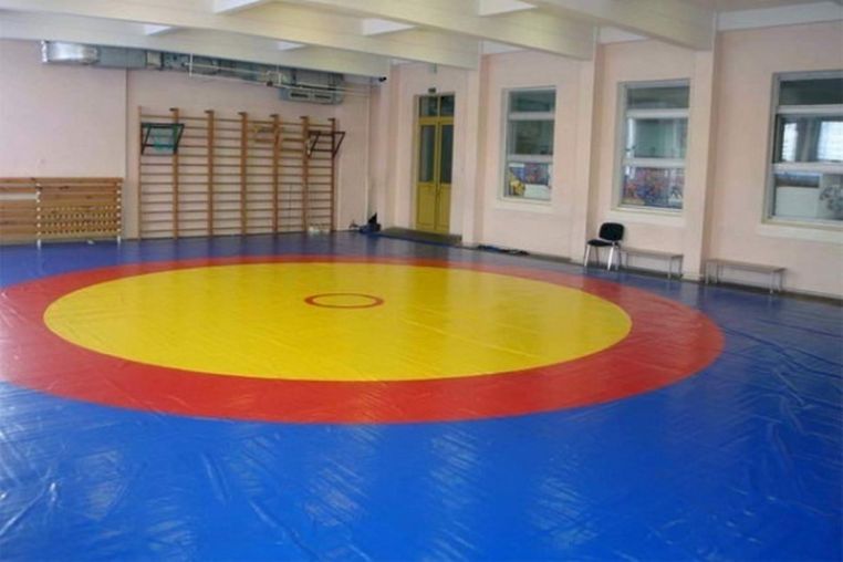 Ковер борцовский Atlet 12х12м основа ППЭ (экв. ПВВ 200 кг/м3) толщина 5 см IMP-A464 