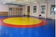 Ковер борцовский Atlet 12х12 м основа НПЭ толщина 5 см IMP-A456 фото 3