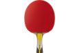 Ракетка для настольного тенниса Double Fish 6A+C, ITTF App+ 2 мяча V40+мм фото 5