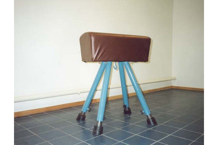 Козел гимнастический Atlet ГО-2 фото 3