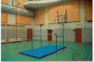 Брусья гимнастические Atlet женские разновысокие (жерди деревянные) IMP-A45