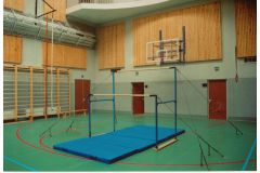 Брусья гимнастические Atlet женские разновысокие (жерди деревянные) IMP-A45