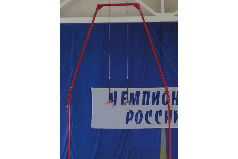 Рама с кольцами гимнастическими Гимнаст П.29 