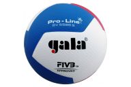 Мяч волейбольный Gala Pro-Line 12 FIVB BV5595S р.5
