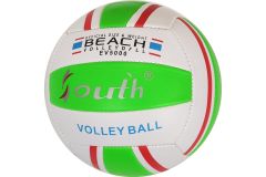 Мяч волейбольный Sportex E33541-2 р.5