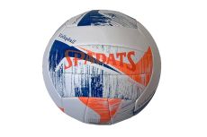 Мяч волейбольный Sportex E39982 р.5