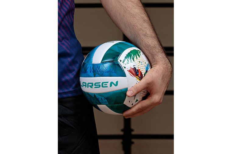 Мяч волейбольный пляжный Larsen Beach Volleyball Bird р.5 фото 5
