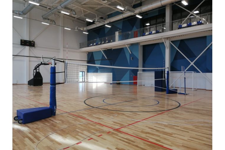 Стойки волейбольные телескопические Jinling Sports ZPZ-1A 13101 FIVB фото 1
