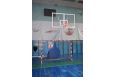 Стойка баскетбольная мобильная складная игровая Glav 01.117-2250 вынос 225 см фото 5