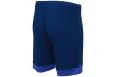 Шорты игровые Jogel DIVISION PerFormDRY Union Shorts, темно-синий/синий/белый фото 2
