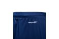 Шорты игровые Jogel DIVISION PerFormDRY Union Shorts, темно-синий/синий/белый фото 5