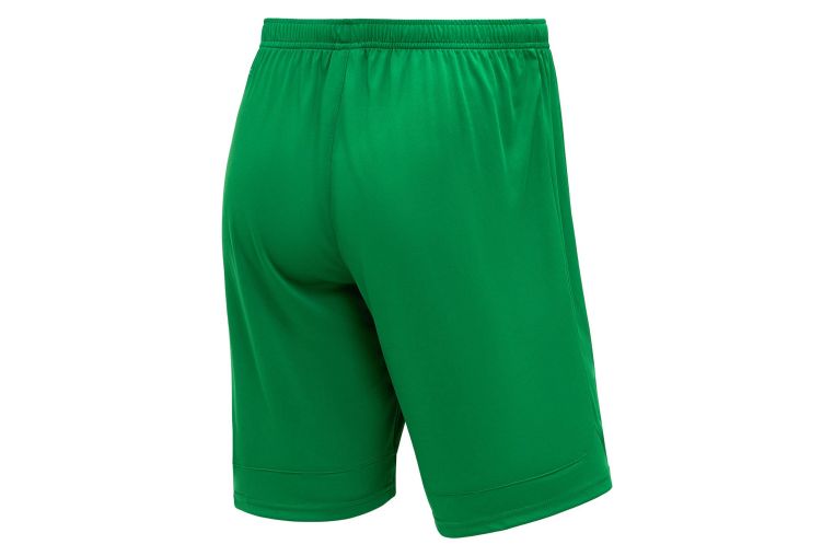 Шорты игровые Jogel DIVISION PerFormDRY Union Shorts, зеленый фото 10