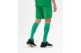 Шорты игровые Jogel DIVISION PerFormDRY Union Shorts, зеленый фото 3