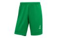 Шорты игровые Jogel DIVISION PerFormDRY Union Shorts, зеленый фото 4