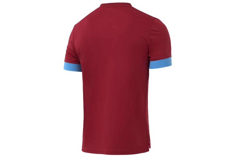 Футболка игровая Jogel DIVISION PerFormDRY Union Jersey, гранатовый/голубой/белый фото 1