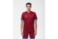 Футболка игровая Jogel DIVISION PerFormDRY Union Jersey, гранатовый/голубой/белый фото 2