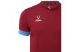 Футболка игровая Jogel DIVISION PerFormDRY Union Jersey, гранатовый/голубой/белый фото 4