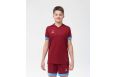 Футболка игровая Jogel DIVISION PerFormDRY Union Jersey, гранатовый/голубой/белый фото 6