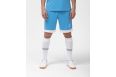 Шорты игровые Jogel DIVISION PerFormDRY Union Shorts, голубой/белый/белый фото 6