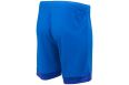 Шорты игровые Jogel DIVISION PerFormDRY Union Shorts, синий-темно-синий-белый фото 6