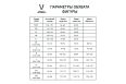 Шорты игровые Jogel DIVISION PerFormDRY Union Shorts, синий-темно-синий-белый фото 7