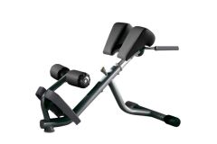 Technogym Lower Back Bench