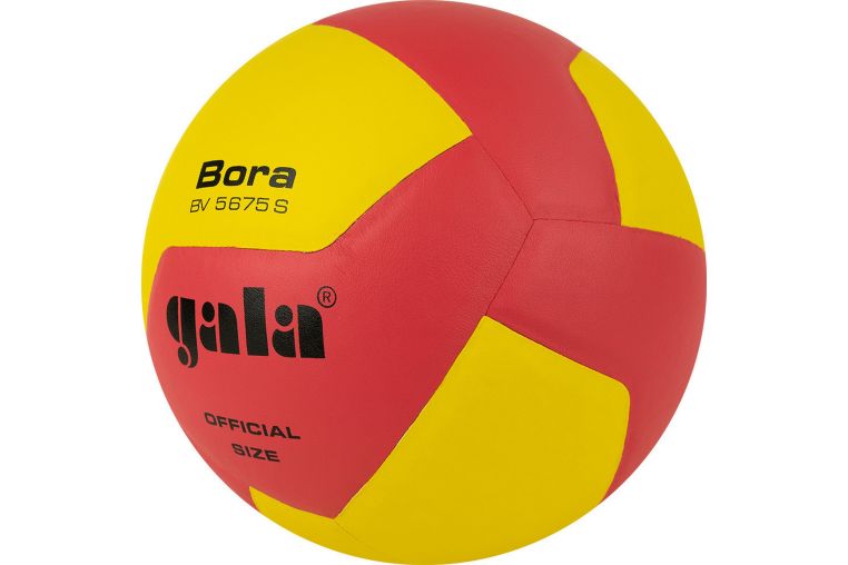 Мяч волейбольный Gala Bora 12 BV5675S р. 5 фото 1
