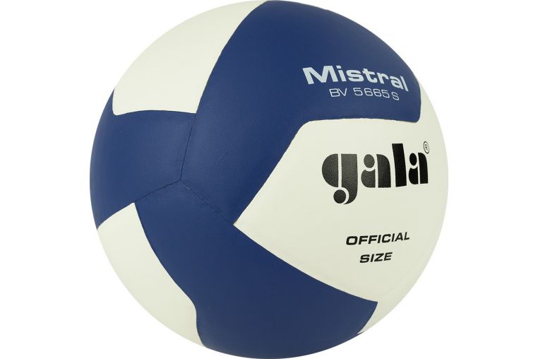 Мяч волейбольный Gala Mistral 12 BV5665S р. 5 фото 1