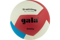 Мяч волейбольный Gala Training Heavy 12 BV5475S р.5