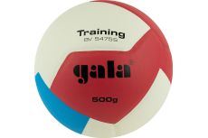 Мяч волейбольный Gala Training Heavy 12 BV5475S р.5