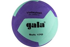 Мяч волейбольный Gala Soft 170, 12 BV5685SCF р.5
